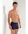 HOM Boxer Spectra