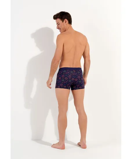 HOM Boxer Spectra