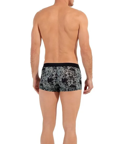 HOM Boxer Tigers