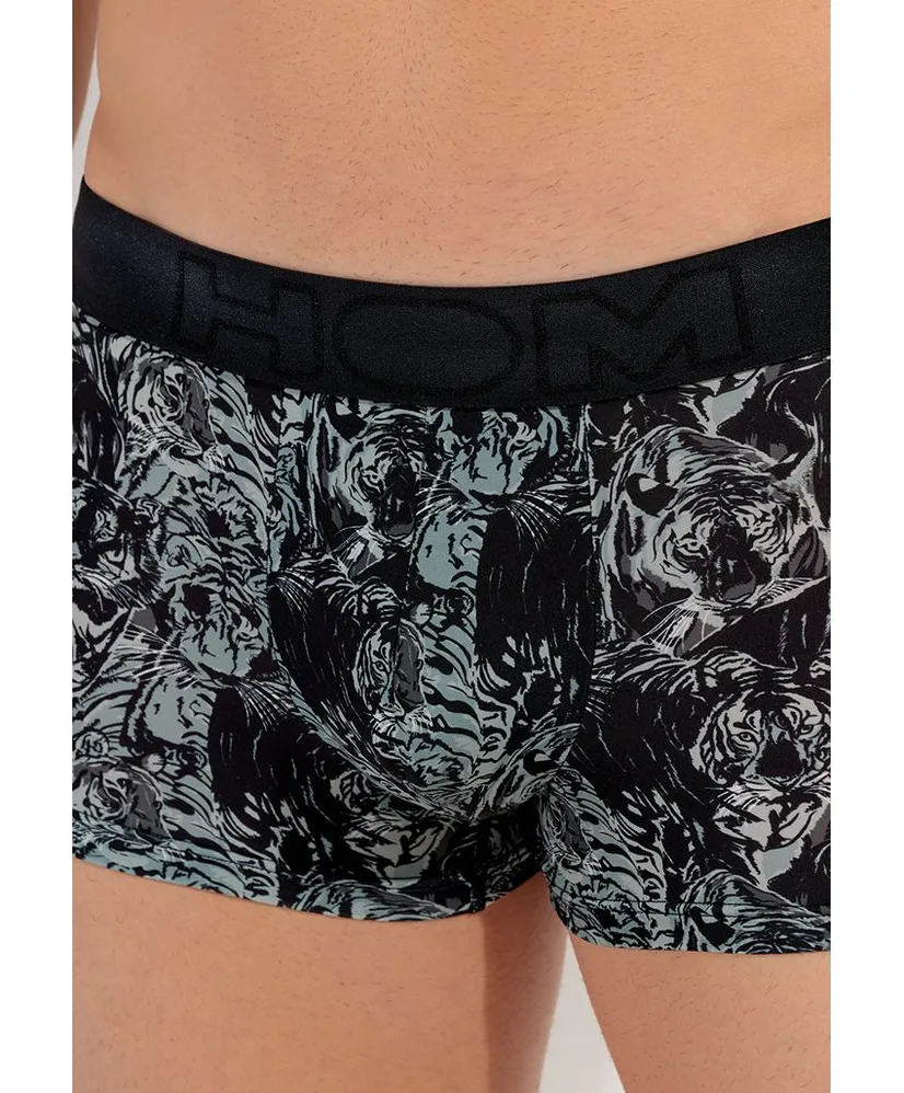 HOM Boxer Tigers