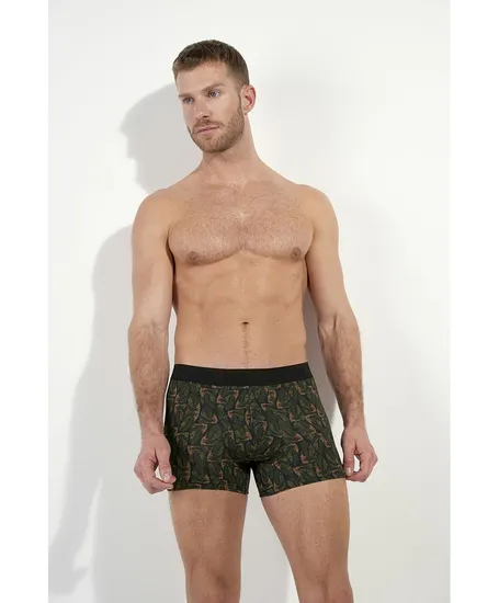 HOM Boxer Vizzavona