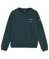 Indian Blue Jeans Sweater Backprint