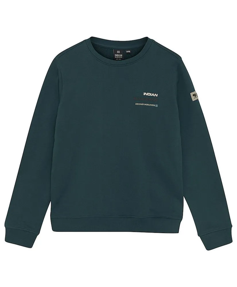 Indian Blue Jeans Sweater Backprint