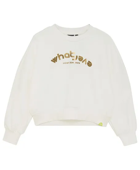 Indian Blue Jeans Sweater Foil