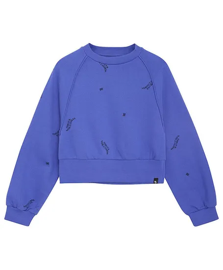 Indian Blue Jeans Sweater Raglan
