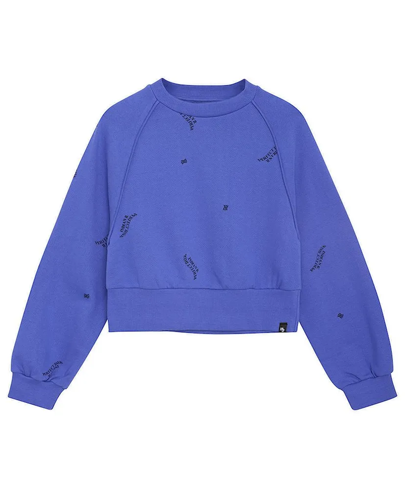 Indian Blue Jeans Sweater Raglan