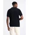 LAW OF THE SEA Polo Yohei