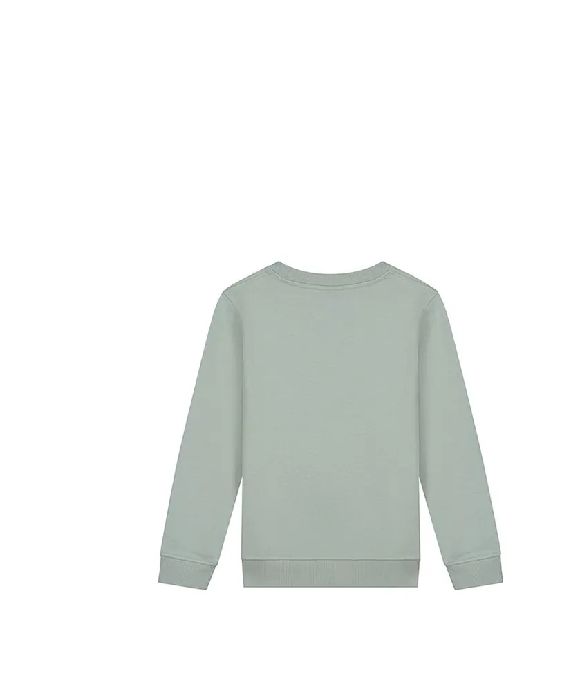 Malelions Junior Sweater Counter