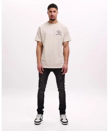 Malelions T-shirt Design