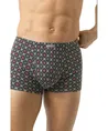 Mey Boxer Ornamental
