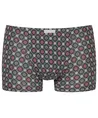 Mey Boxer Ornamental