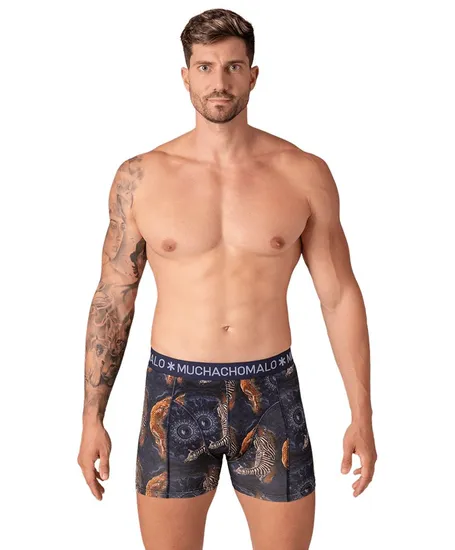 Muchachomalo Boxer Circle Of Life 3-Pack