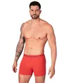 Muchachomalo Boxer Golden 12-Pack
