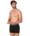 Muchachomalo Boxer Golden 12-Pack
