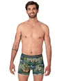 Muchachomalo Boxer Golden 12-Pack
