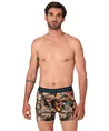 Muchachomalo Boxer Golden 12-Pack