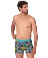 Muchachomalo Boxer Golden 12-Pack