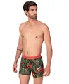 Muchachomalo Boxer Golden 12-Pack