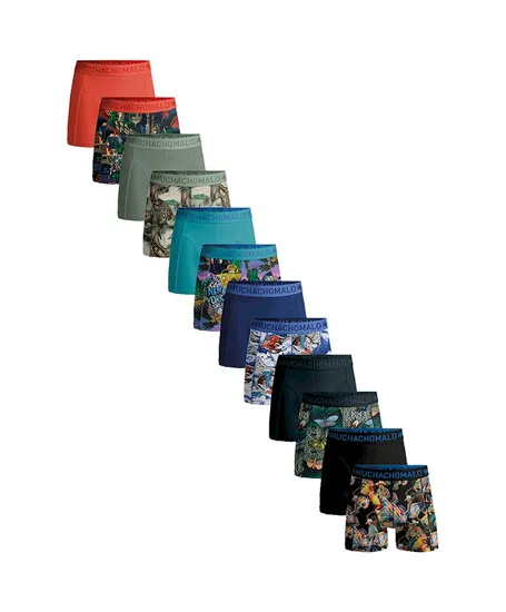 Muchachomalo Boxer Golden 12-Pack