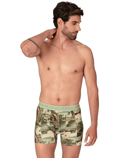 Muchachomalo Boxer Golden 12-Pack