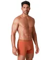 Muchachomalo Boxer Golden Special 12-Pack
