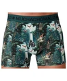 Muchachomalo Boxer Golden Special 12-Pack