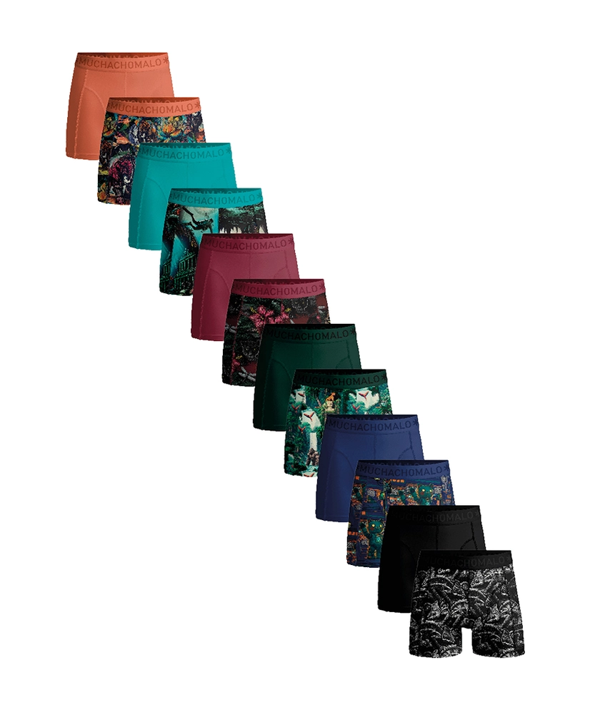 Muchachomalo Boxer Golden Special 12-Pack