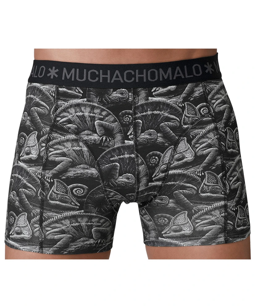 Muchachomalo Boxer Golden Special 12-Pack