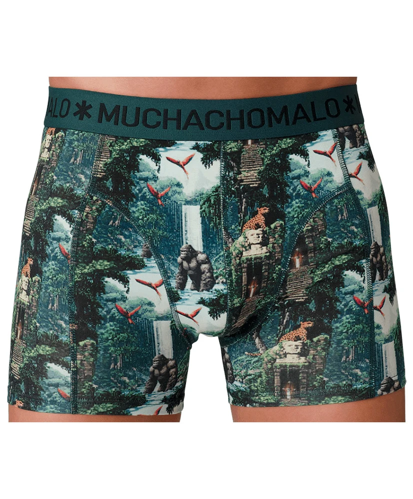 Muchachomalo Boxer Golden Special 12-Pack
