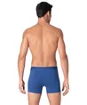 Muchachomalo Boxer Solid 3-Pack