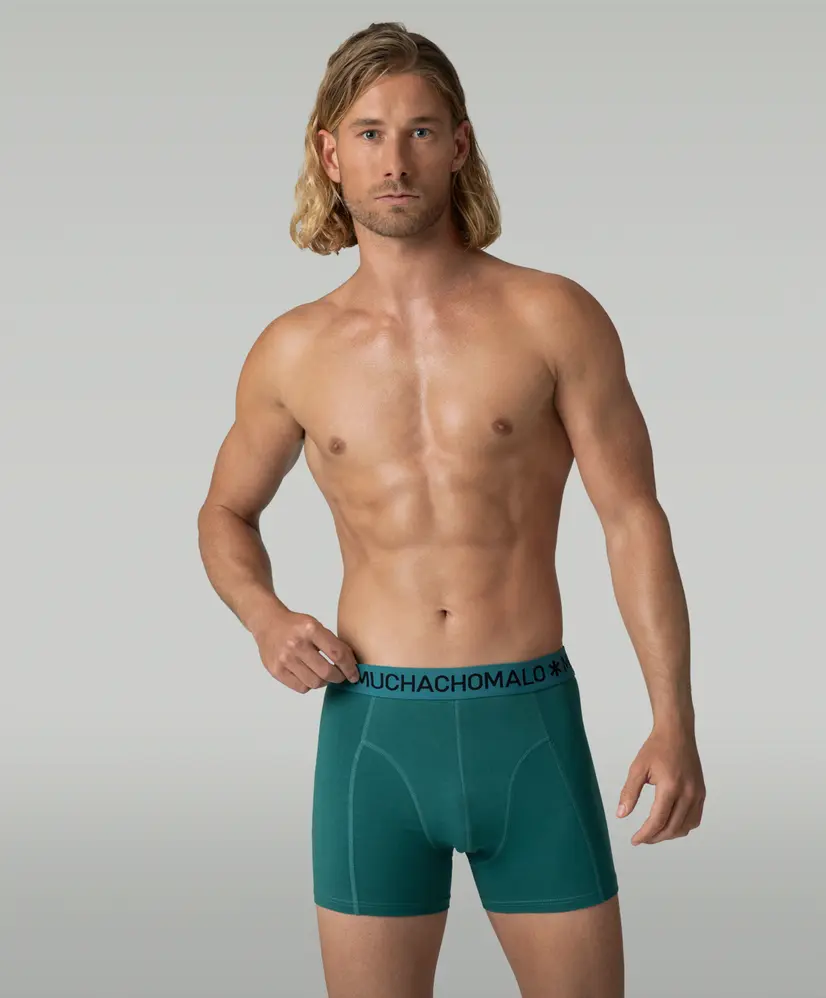 Muchachomalo Boxer Totem Horse 3-Pack