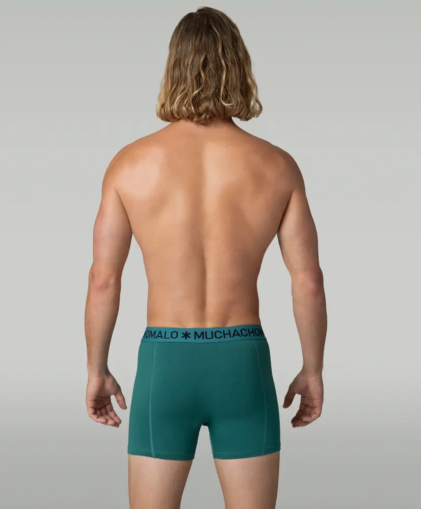 Muchachomalo Boxer Totem Horse 3-Pack