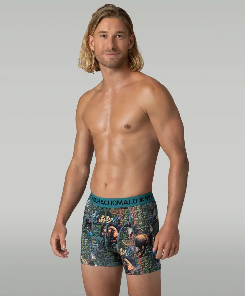 Muchachomalo Boxer Totem Horse 3-Pack