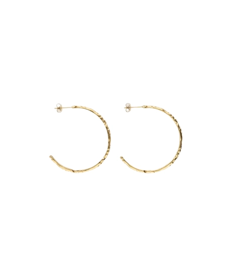 My Jewellery Oorbellen Botanical Chapter Hoops