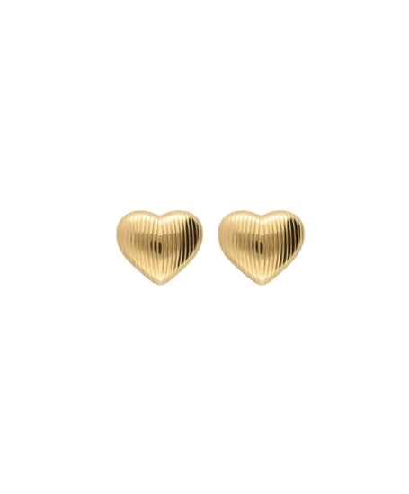 My Jewellery Oorbellen Striped Heart