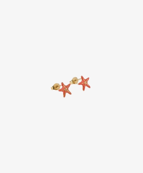 My Jewellery Studs starfish coral