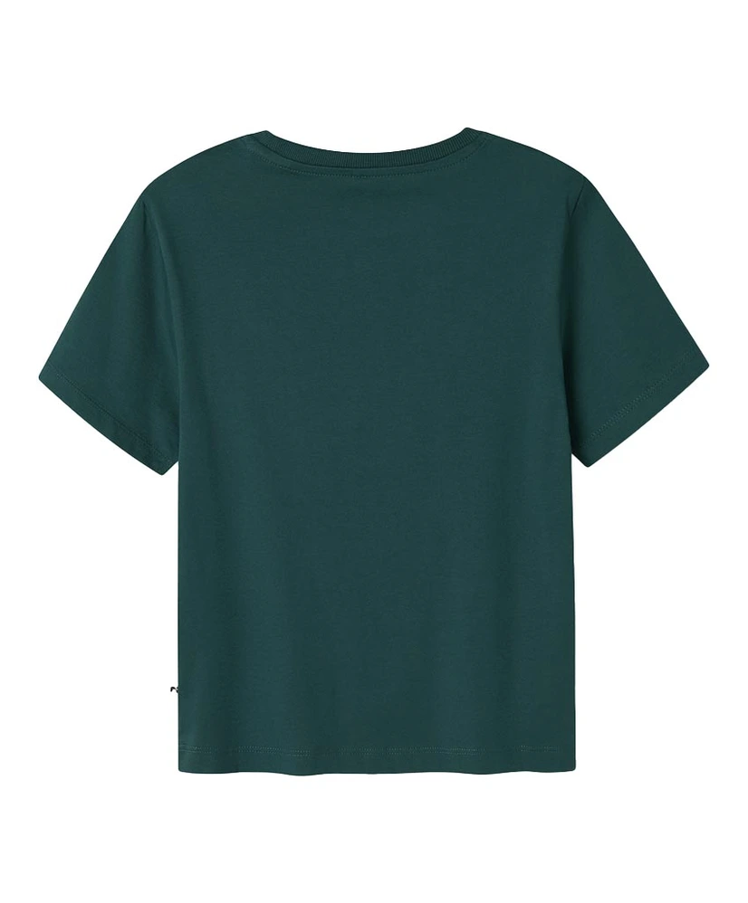 NAME IT T-shirt Dennim