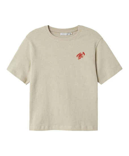 NAME IT T-shirt Famt