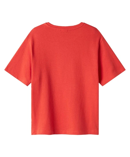 NAME IT T-shirt Famt
