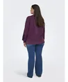 ONLY CARMAKOMA Sweater Jenna