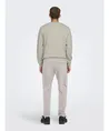 ONLY & SONS Cargo Broek Common