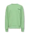 ONLY & SONS Junior Sweater Benjamin