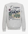 ONLY & SONS Junior Sweater Ceres