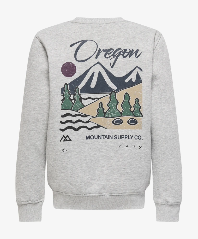 ONLY & SONS Junior Sweater Ceres
