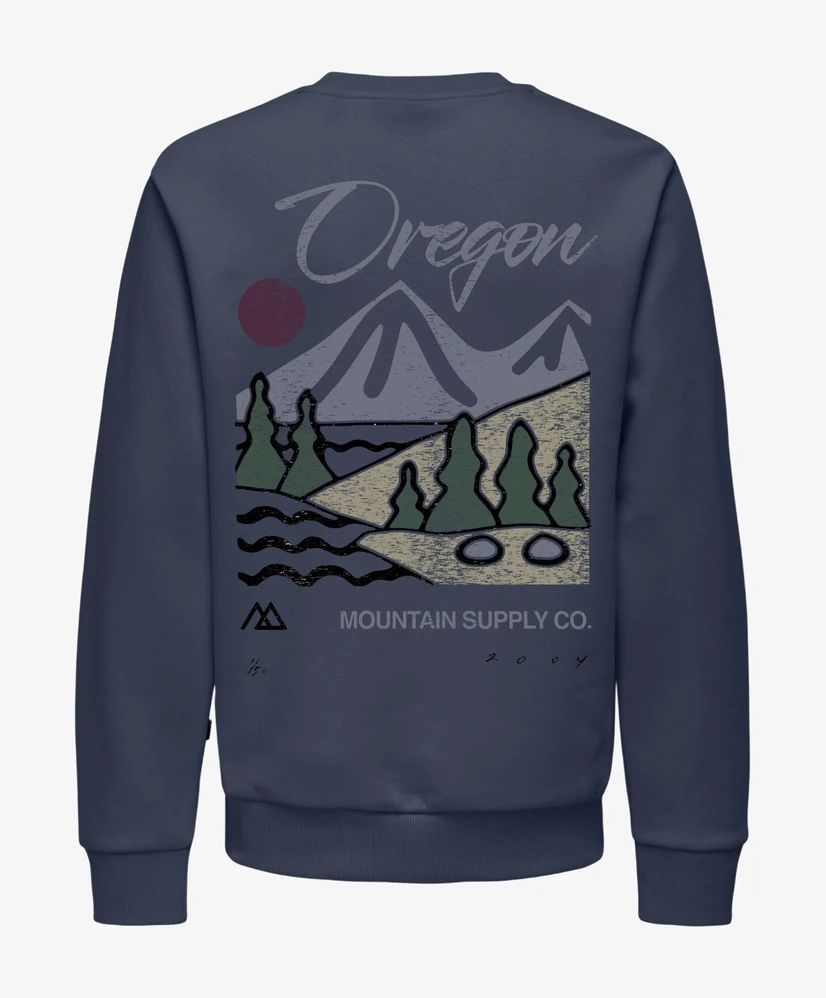ONLY & SONS Junior Sweater Ceres