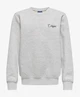 ONLY & SONS Junior Sweater Ceres