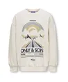 ONLY & SONS Junior Sweater Road