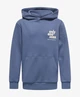 ONLY & SONS Junior Sweatshirt OSJHUDSON LS REG HOO