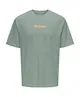 ONLY & SONS Junior T-shirt Luis Palm