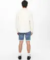 ONLY & SONS Short Denim 5-Pocket